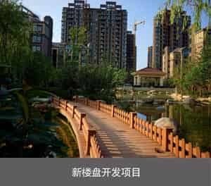 PJS简易升降式 两柱式立体停车新楼盘开发项目